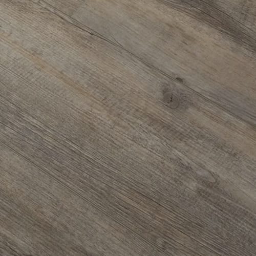 Exotica in 381 Luxury Vinyl