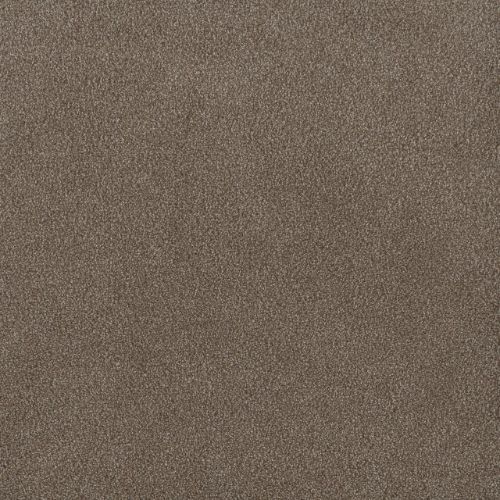 PALMETTO II in Eagle Crest Carpet