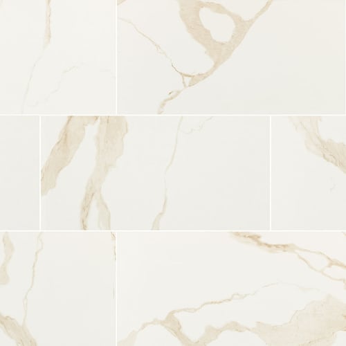 Eden in Calacatta - 12x24 Polished Tile