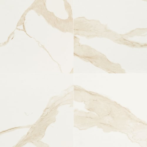 Eden in Calacatta - 24x24 Polished Tile