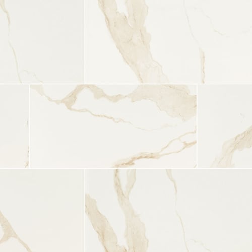 Eden in Calacatta - 24x48 Matte Tile