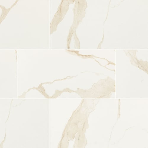 Eden in Calacatta - 24x48 Polished Tile