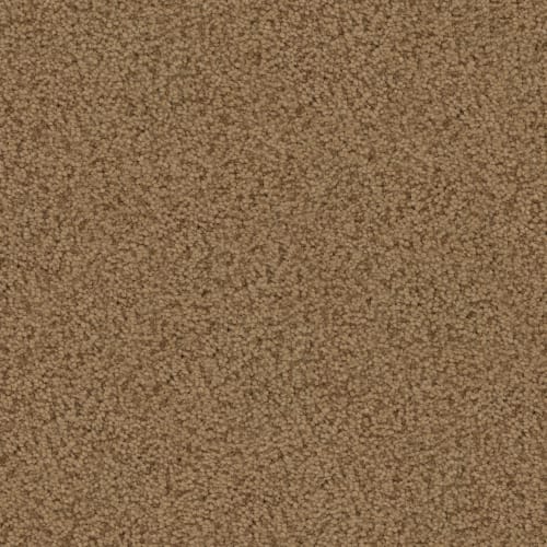 Element in Gold Carpet