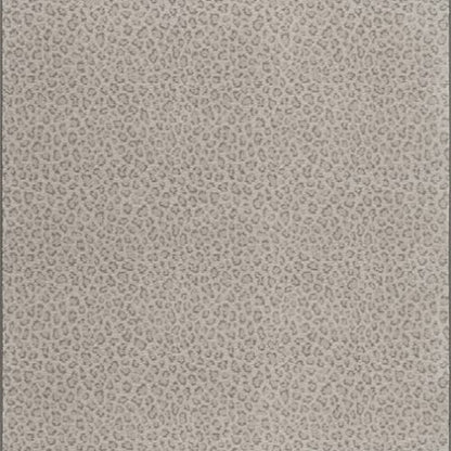 Exotic Touch - Cloud Shadow