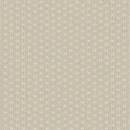 Eyelet - Angora