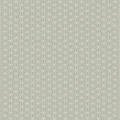 Eyelet - Aquatic