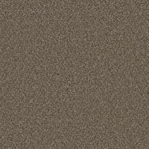 ROYALE I in Fawn Carpet