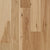 Latitude Collection® - Forest Park