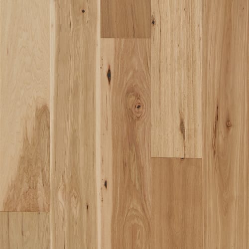 Latitude Collection® - Forest Park