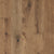 Latitude Collection® - Forest Park