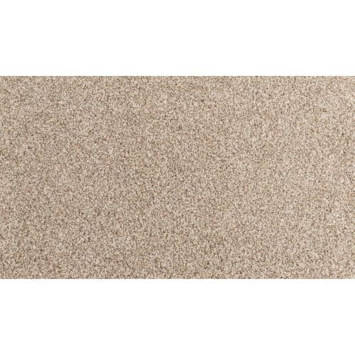 Celestia in Castle Carpet