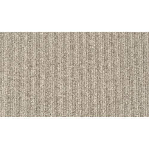 Tiburon II in Slate Carpet