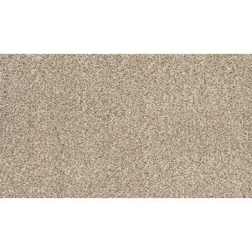 Upscale Elements in Bliss Carpet
