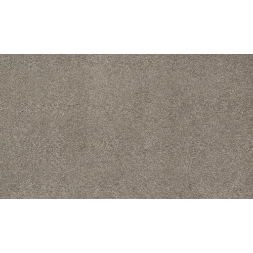 Opulent Tradition in Homage Carpet