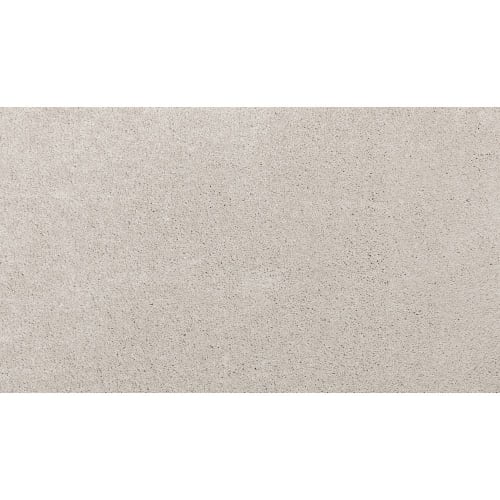 Luxurious Hues in Cameo Carpet