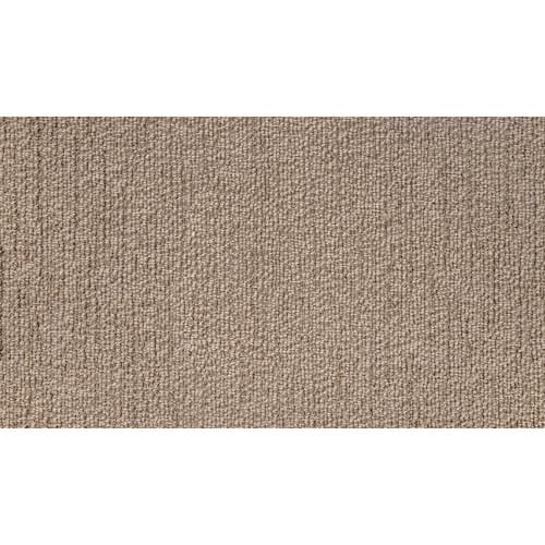 True North in Pike Carpet