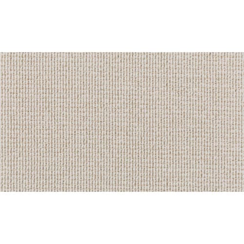 Curated Approach in Vector Carpet