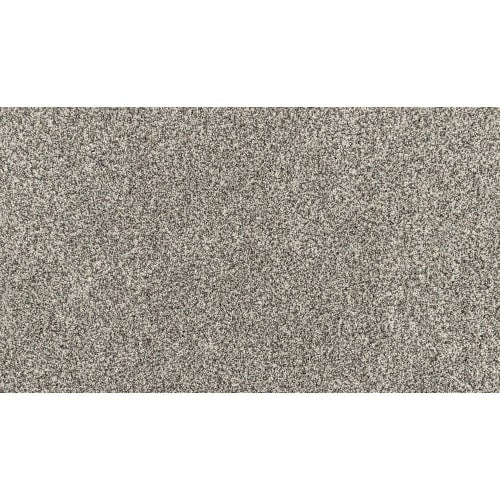 Candor in Whimsy Carpet