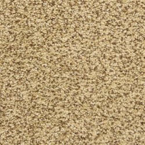 Colorworks in Stone Works Carpet