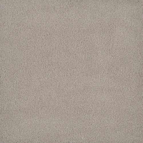 PALMETTO I in Gardenia Carpet