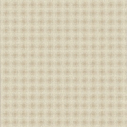 Greyfriar - Chalkware in Chalkware Area Rugs