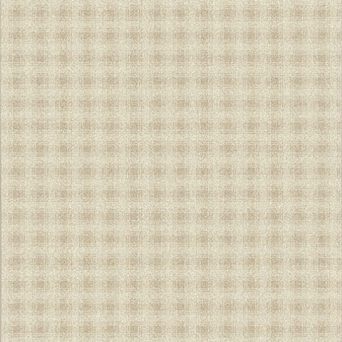Greyfriar - Chalkware in Chalkware Area Rugs