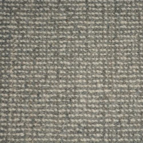 Hermosa in Fossil Carpet