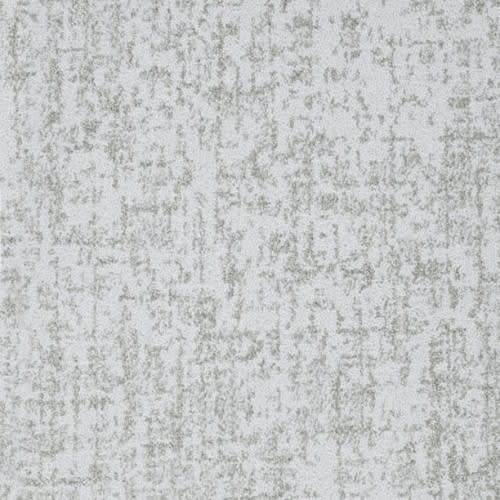 Hollywood Nights in Breeze Carpet
