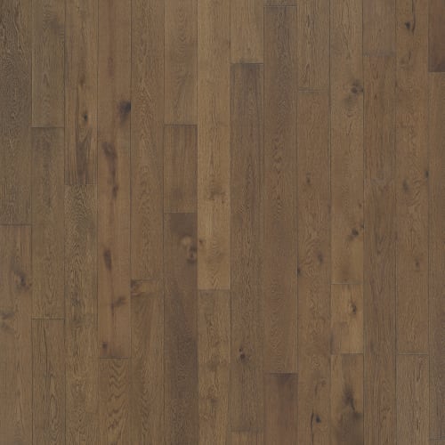 Latitude Collection® - Latitude Collection