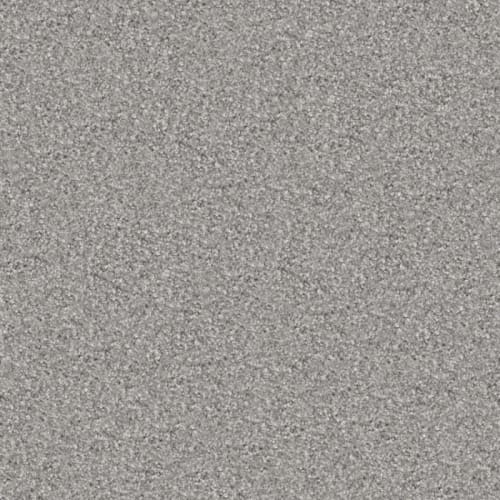 Hunter in Zorba Carpet