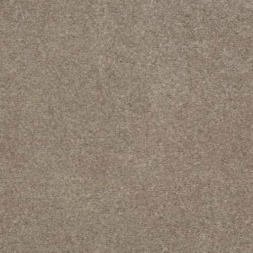 Indescribable Style in Bare Necessities Carpet