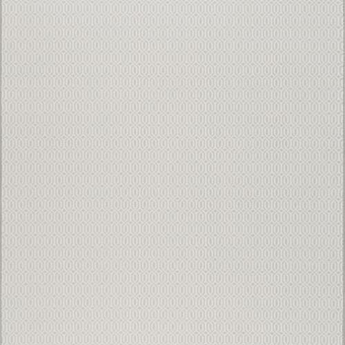 Influential - Mist Gray in Mist Gray Area Rugs