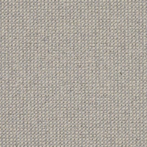 Intention in Sandstone Carpet