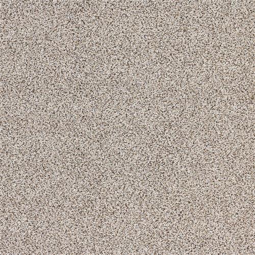 Intrigue in Allure Carpet