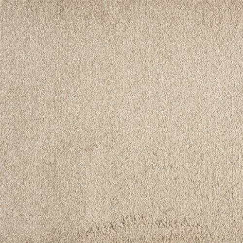 Jolly in Mink Carpet