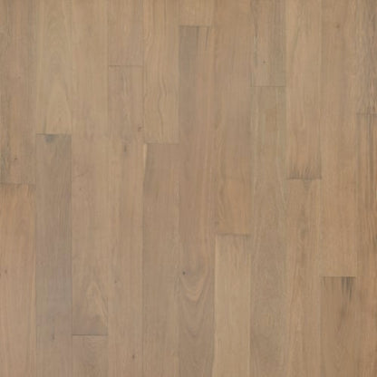 Entrevaux in Briar Wood Oak Hardwood