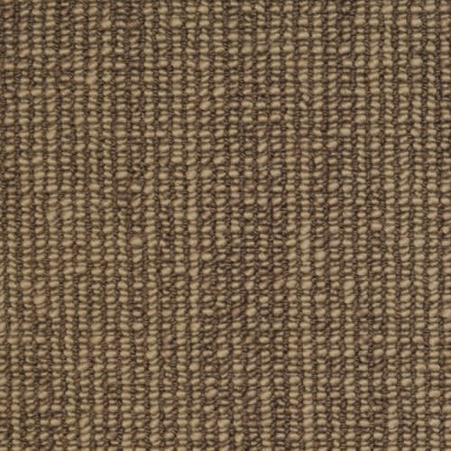 Kennedy Point in Charcoal Carpet