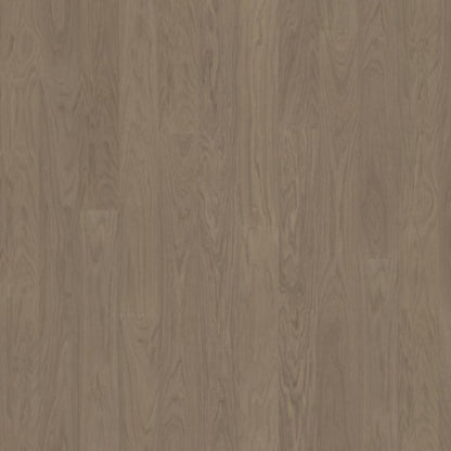 Life Collection in Earl Grey Wide Hardwood