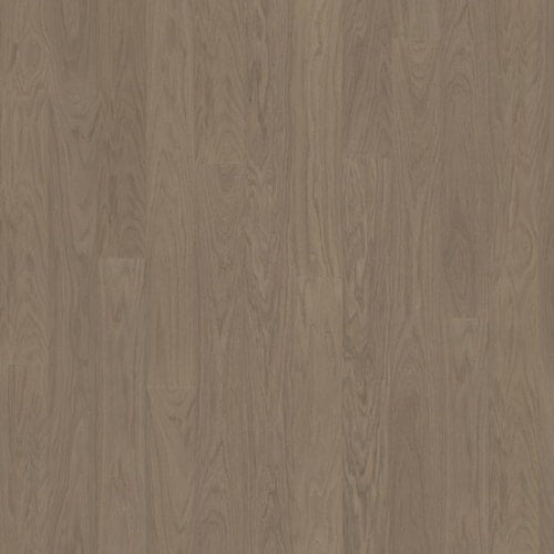 Life Collection in Earl Grey Wide Hardwood