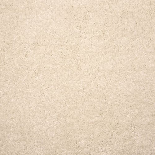 Lancelot in Snow Carpet