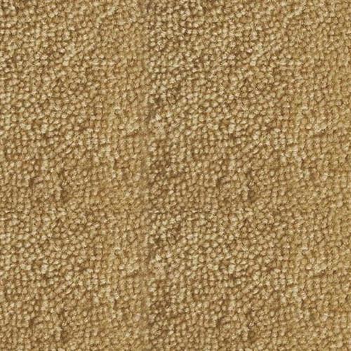 Contessa in Lariat Carpet