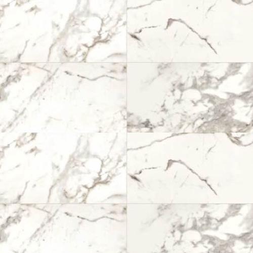 Marble Attache in Calacatta - 24x24 Tile