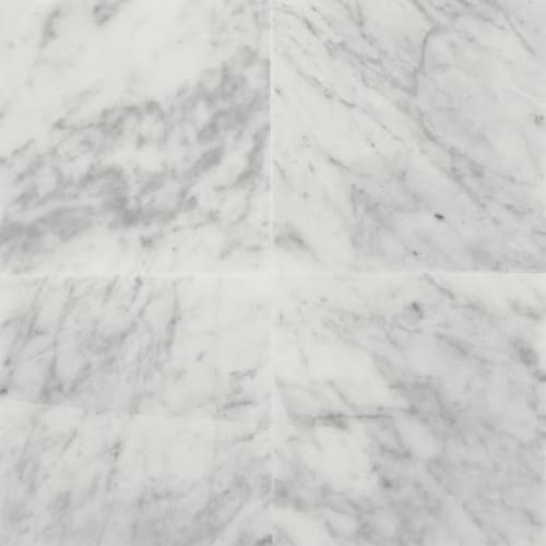 Marble in Carrara White-12x12-Polished Natural Stone