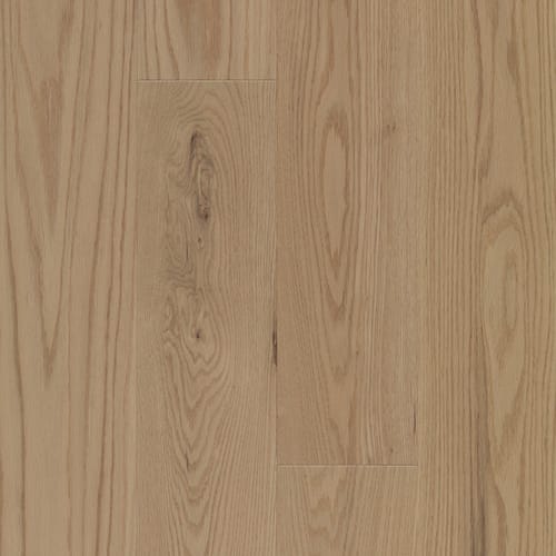 Atmosphere Collection - Red Oak Bliss Engineered 1/2 " in Intact 6 1/2 " Hardwood