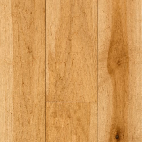 Design+ Collection - Hard Maple Creme Brulee Engineered 1/2 " in Select & Better Matte 5 " Hardwood