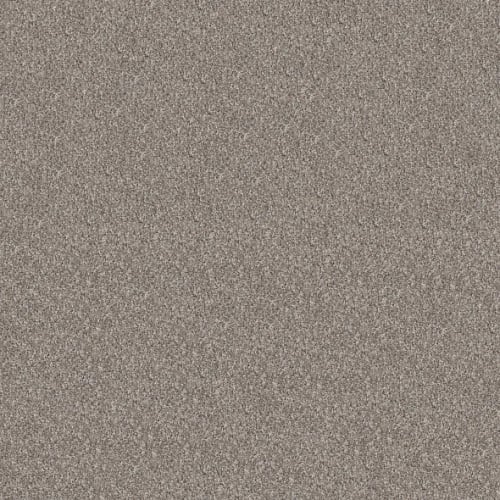 Elevated I in Perfection Carpet