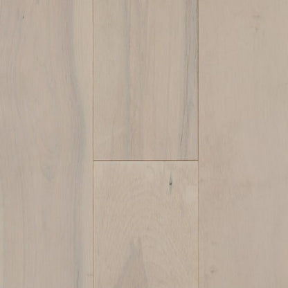 Design+ Collection - Hard Maple Ivoor Solid in Distinction Intact 3 1/4 " Hardwood