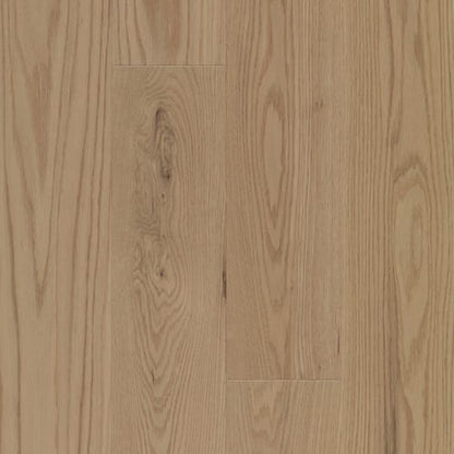 Atmosphere Collection - Red Oak Bliss Solid in Matte-Brushed 3 1/4 " Hardwood