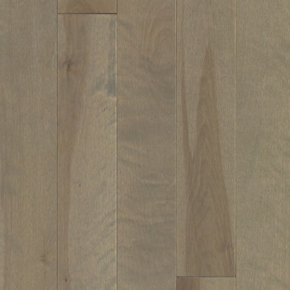 Elegancia Collection - Yellow Birch Brookline Solid in Satin 3 1/4 " Hardwood