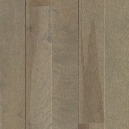 Elegancia Collection - Yellow Birch Brookline Solid in Mast 4 1/4 " Hardwood
